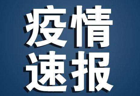 翻译公司关注各国因新冠疫情影响的趣闻